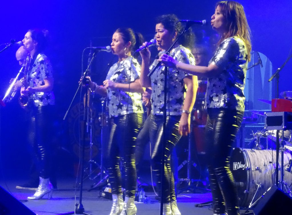 25 jaar funk en soul met de Eindhovense band Groove Foundation